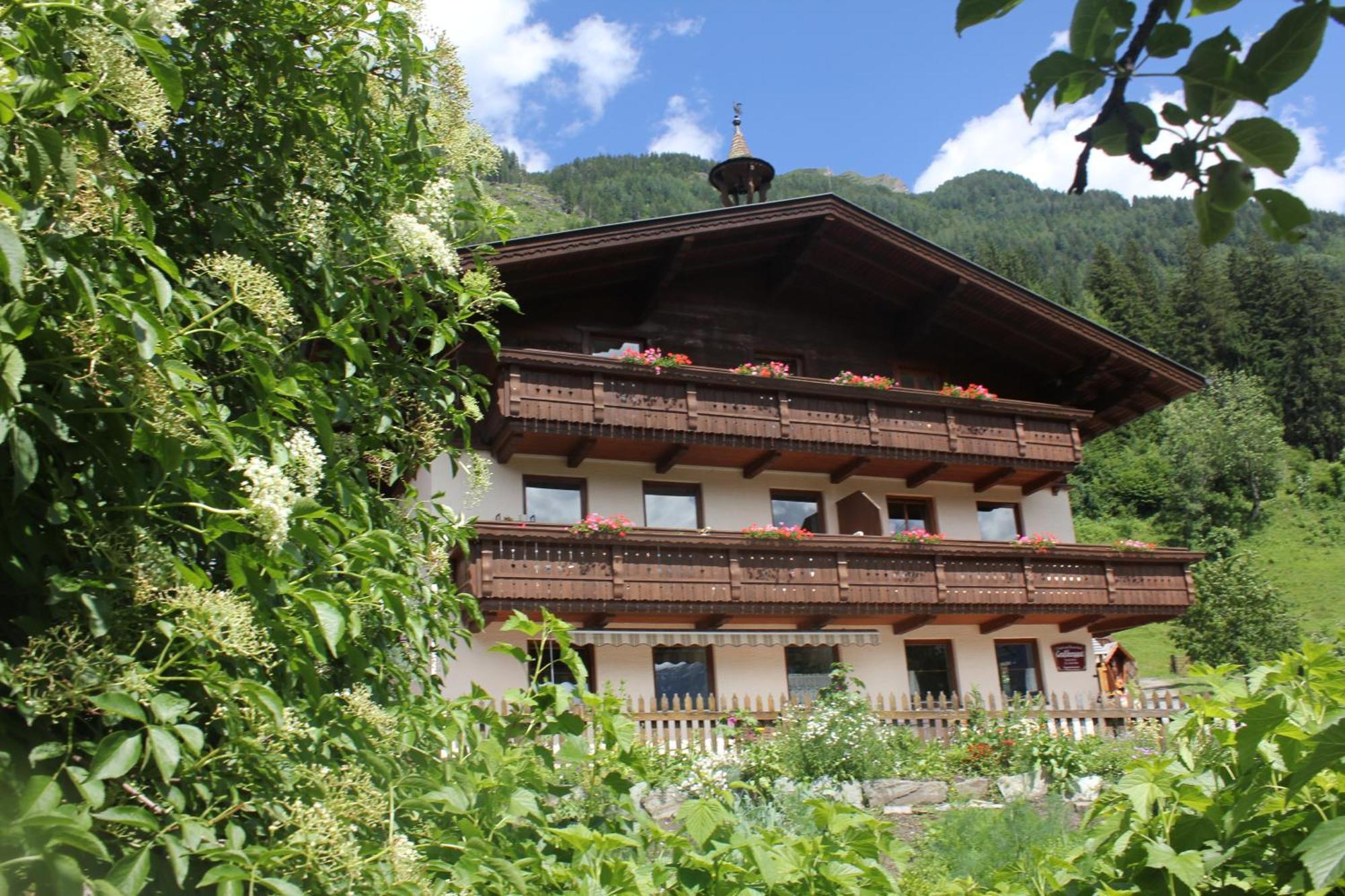 Bauernhof Grussberggut Villa Bad Hofgastein Bagian luar foto